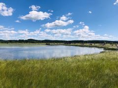 -塞罕坝国家级自然保护区