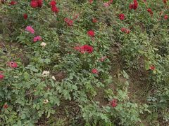 -汉长安城未央宫国家考古遗址公园