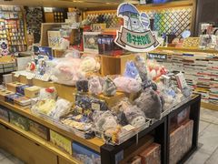 零售区-猫的天空之城概念书店(苏州诚品店)