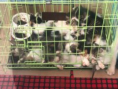 -丽达购物中心(崂山店)