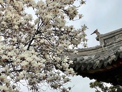 -龙华寺