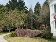 -四明山国家森林公园