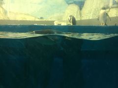 -泉城欧乐堡戏水湾艺术养生温泉