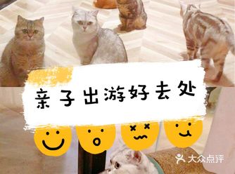 遛娃好去处MoMo花园萌宠互动亲子乐园