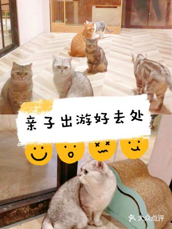遛娃好去处MoMo花园萌宠互动亲子乐园