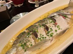 -新南华大酒店(长寿店)