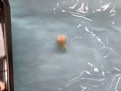 -同济大学附属口腔医院