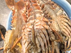 -亚马逊蒸汽活海鲜自助(LCM置汇旭辉广场店)