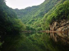 -少华山国家森林公园