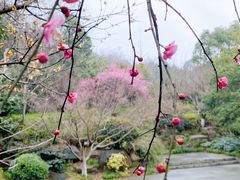 -杭州半山国家森林公园