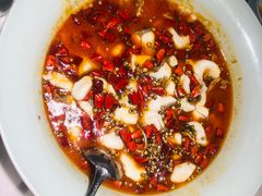 美鱼美蛙-青花椒花椒鱼(合生汇店)