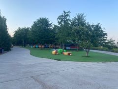 -北京西山国家森林公园