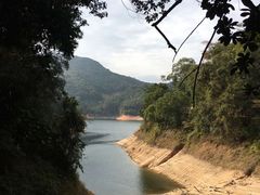 -广州市流溪河国家森林公园