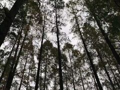 场地-上海植物园·停车场