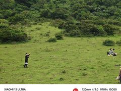 -大姆山草场