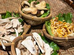 -滇野云南野生菌餐厅(陕西南路店)