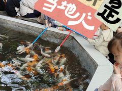 -荆州中山公园动物园