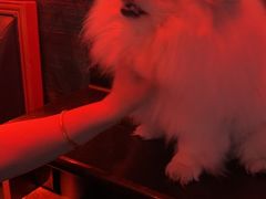 -纯K(打浦桥店)