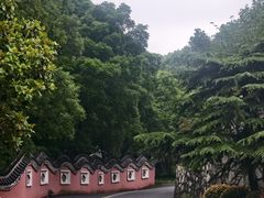 -句容茅山景区