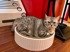 -H立方实景剧情密室(天河旗舰店)
