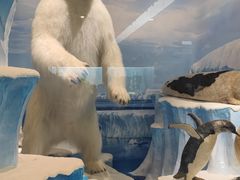 -国家自然博物馆