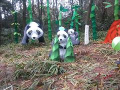 android_upload_pic-万卷楼景区