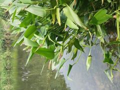 android_upload_pic-新江湾城公园