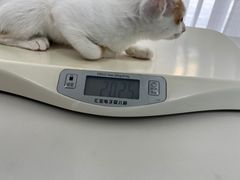-美美宠物诊疗中心·异宠·骨科(滨江东信分院)