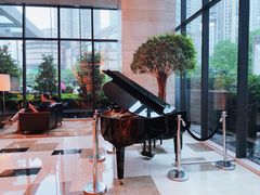 -上海龙之梦万丽酒店