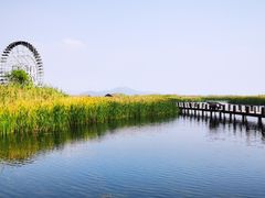 -苏州太湖湖滨国家湿地公园