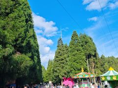 -武陵山森林公园