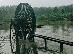 -合肥滨湖国家森林公园