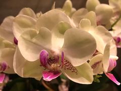 -春暖花开(西溪店)