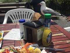 -Kaikoura Seafood BBQ Kiosk