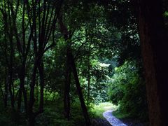 -灵谷景区