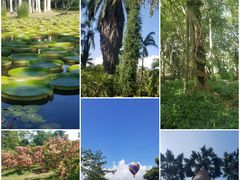 -中国科学院西双版纳热带植物园