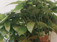 -康足华·足浴·推拿·SPA(南京南站店)