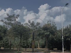 -凤岭儿童公园