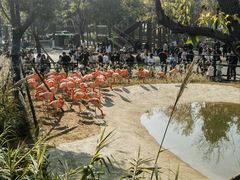 -武汉动物园