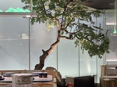 -绿茶餐厅(广州天河城店)