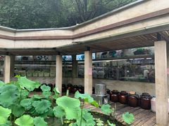 -天怡·鱼工厂(梅溪湖店)