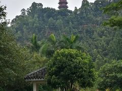 -南沙天后宫景区