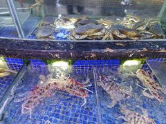 -欢乐海岸美食联盟