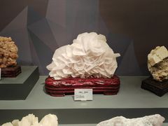 -湖南省地质博物馆