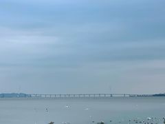 -深圳湾公园(南山区)