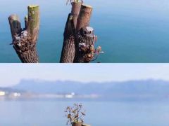 -屈原故里文化旅游区