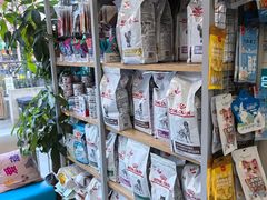 -美联众合爱康动物医院•复杂内科•肿瘤科•牙科•腔镜诊疗中心