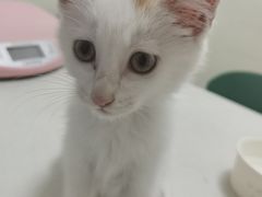 -美联众合24小时·皮肤科·外科·全科诊疗中心(华苑分院)