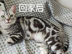 -宠颐生宠物医院外科·内科·皮肤科·影像科(石龙店)