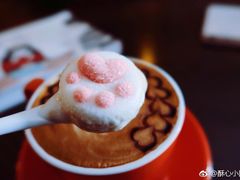 -名猫咖啡馆·撸猫·拼豆